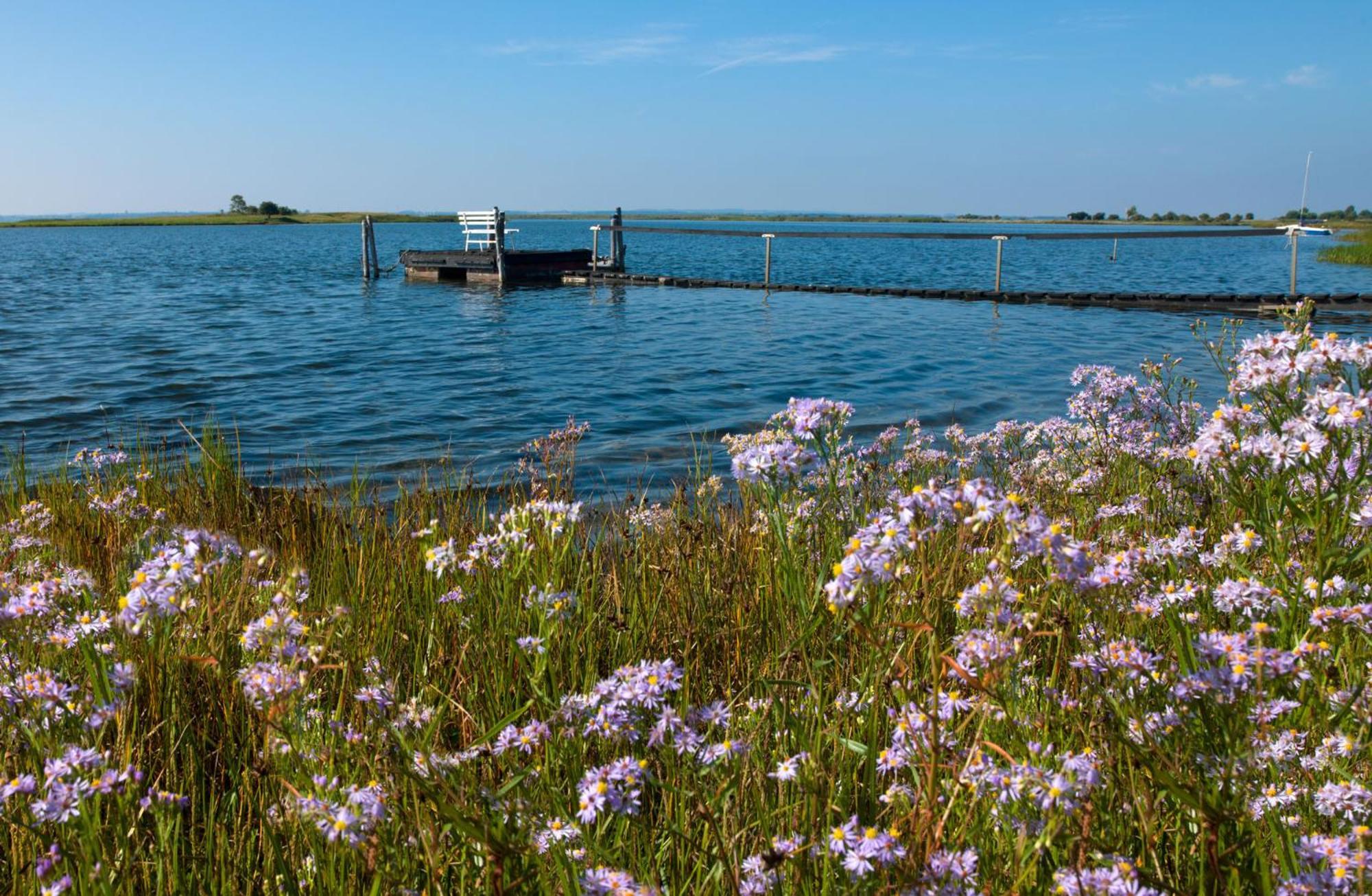 Ostsee Residenz Meeresblick Bellevue Insel Poel Exterior foto