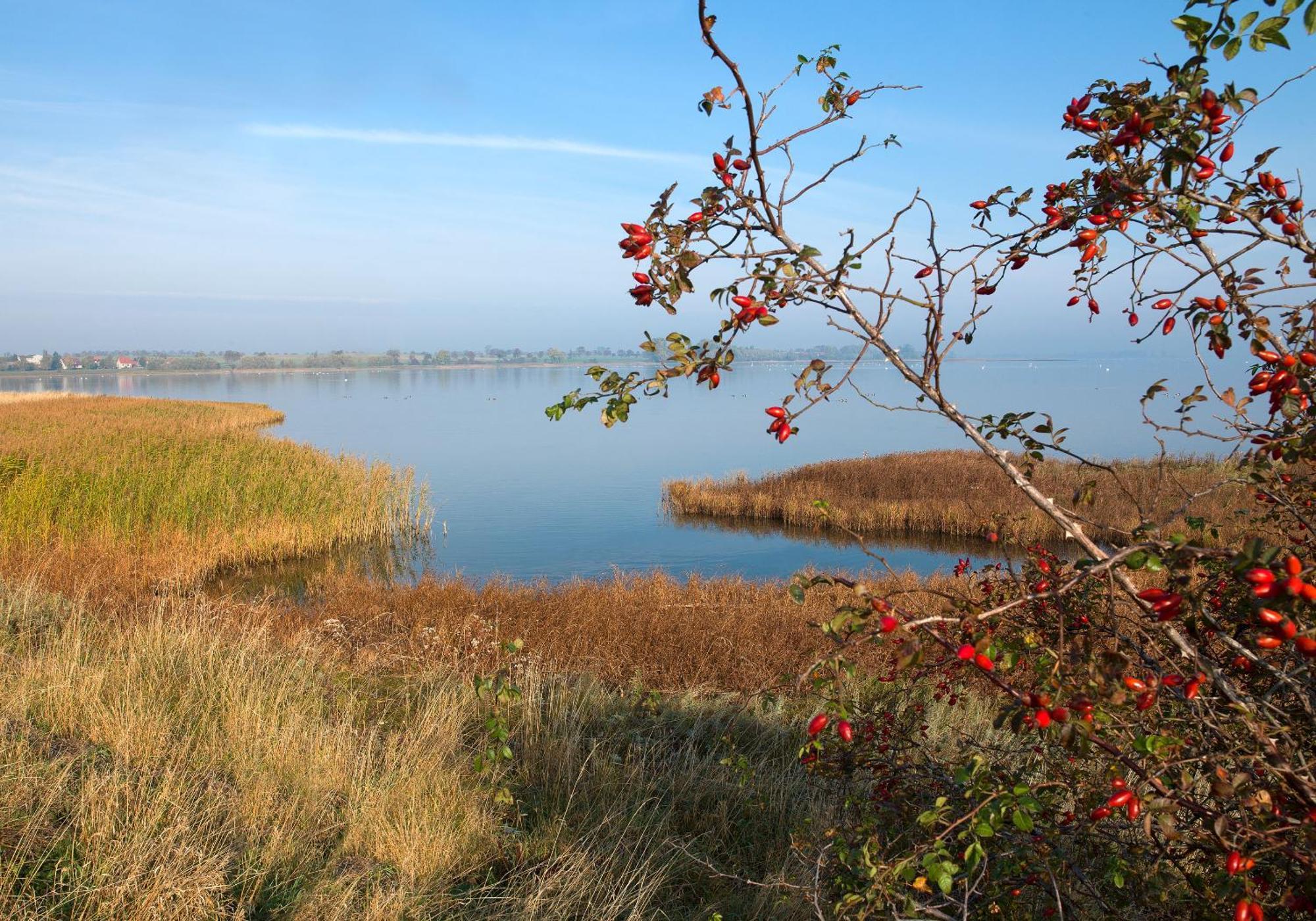 Ostsee Residenz Meeresblick Bellevue Insel Poel Exterior foto